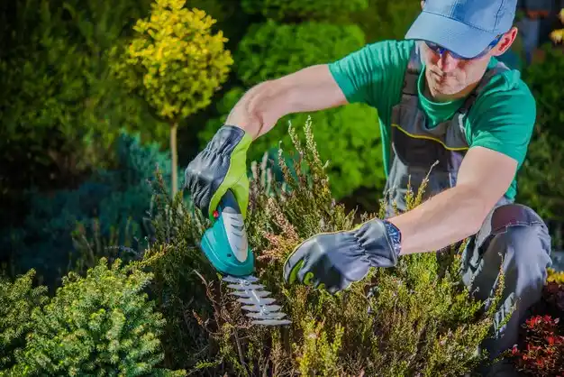 landscaping services Pomeroy